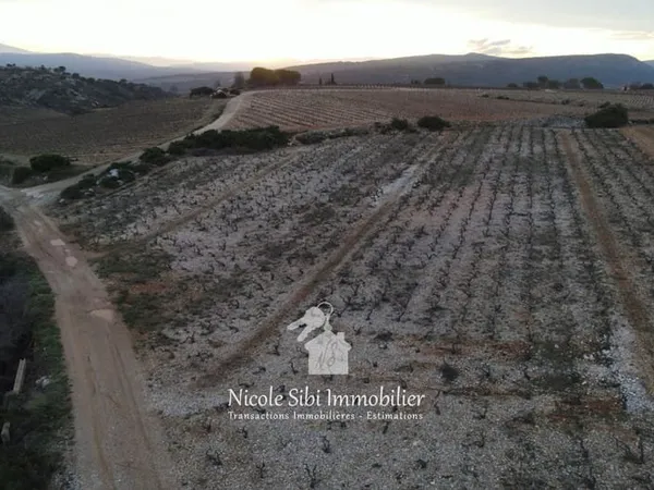 Vente terrain agricole