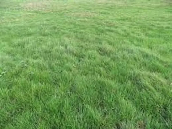 Terrain 672 m²