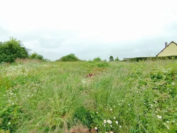 Terrain 1384 m²