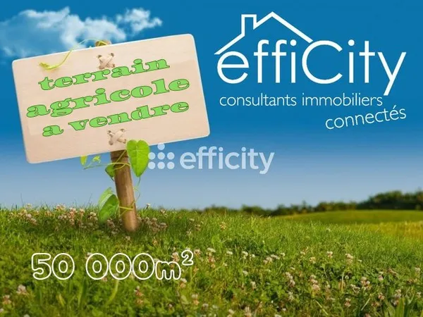 Terrain 50000 m²
