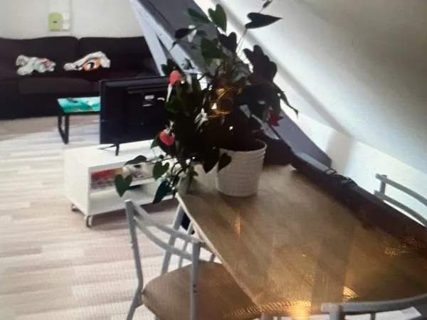 Appartement meublé T2
