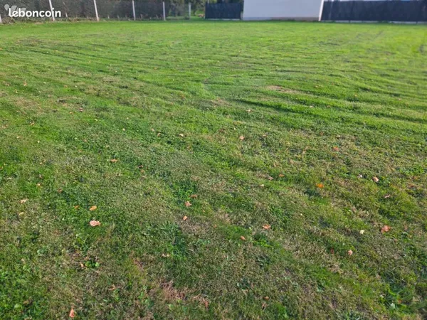 Terrain 1030 m² REUVILLE