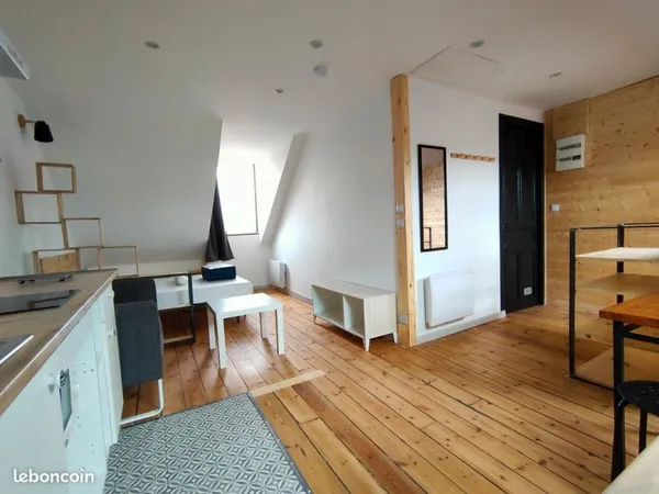 Studio lumineux de 18m2 Carrez (30m2 au sol)