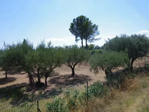 LORGUES TERRAIN CONSTRUCTIBLE 1200 m2 PROCHE CENTRE VILLE