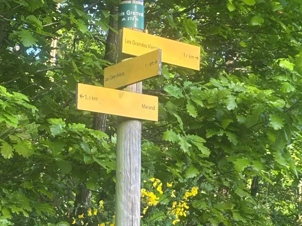 Location parcelle nature - CIVRIEUX-D'AZERGUES (bois granval)
