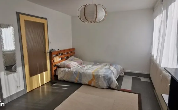 Grand studio meublé lumineux avec garage