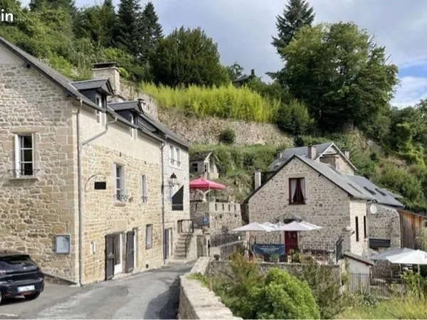 Ensemble à Treignac 4 propriétés et berges sur la Vézère