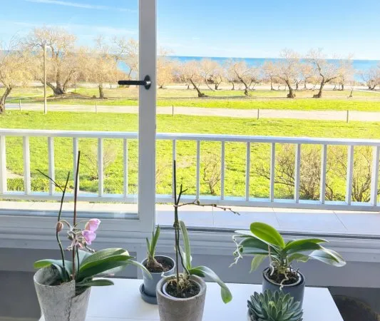 Appartement - 74m² - cap d'agde