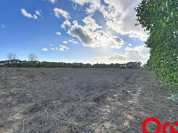 Terrain 15490 m²