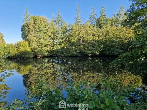 Terrain de loisirs - 5368m² - Nieul-le-Dolent