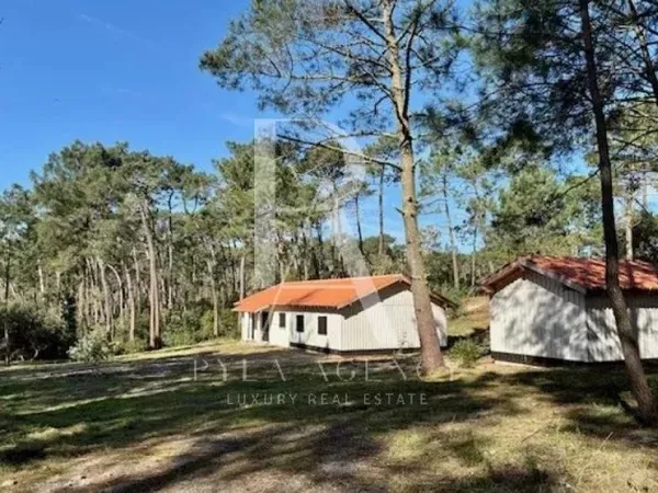 Propriété forestière