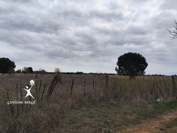 Terrain agricole