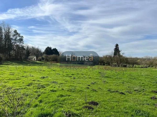 Terrain 1401 m²
