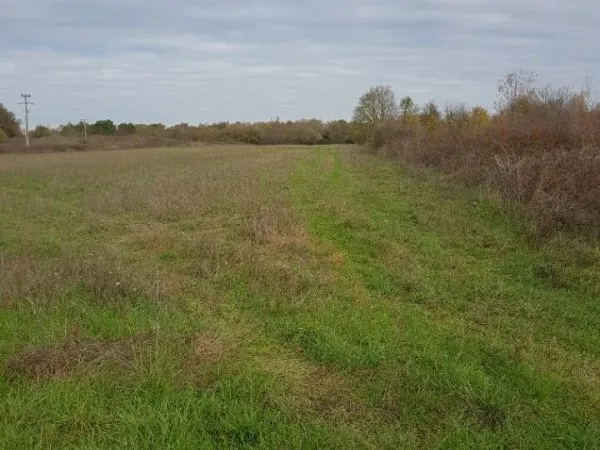Terrain à bâtir à Saint-Ciers-d'Abzac (33910)