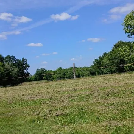 Location terrain pour chevaux