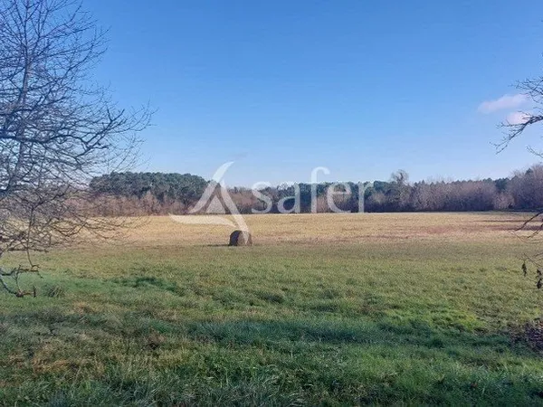 Secteur Bazas: maison traditionnelle, grange et foncier attenant