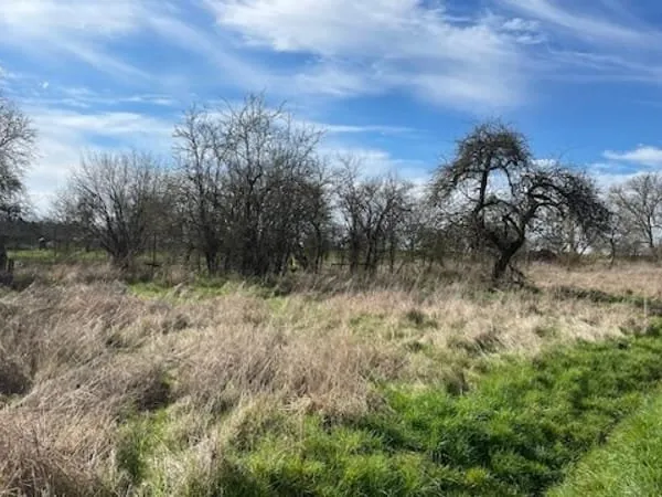 VENTE DE TERRAIN A ARRACOURT