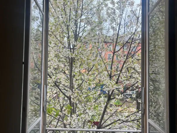 Appartement 2 pièces 67 m²