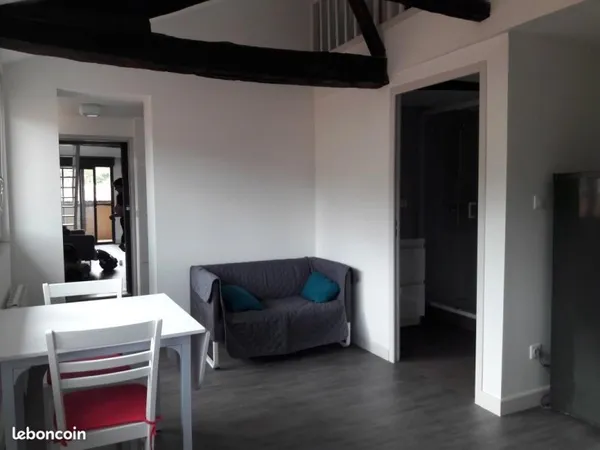 Duplex 2 pièces 23 m²