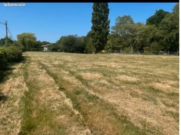Terrain constructible