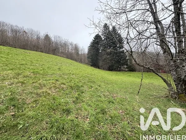 Terrain 6000 m²