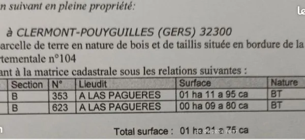 Terrain boisé