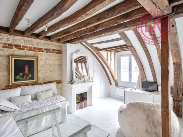 Paris 6eme - Cherche-Midi - Bon Marché - Grand studio avec vue