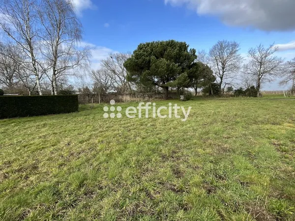 Terrain 800 m²