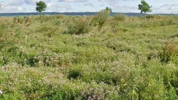 Terrain 770 m² Conde Sur Marne