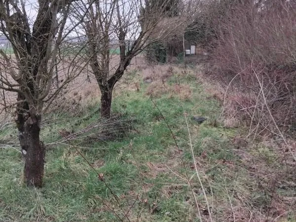 Terrain de loisirs