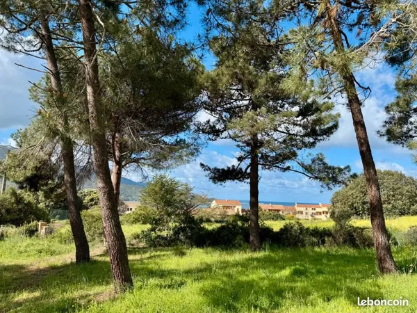 Terrain constructible Masorchia