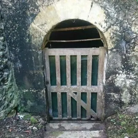 Cave voûtée