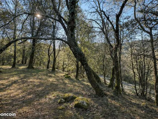 Terrain 1970 m² CHASSIERS