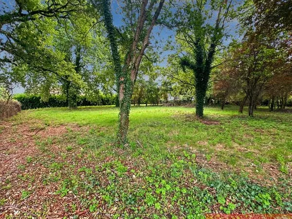 Terrain 1292 m²