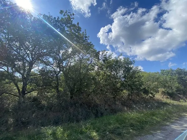 Crossac, petit bois à vendre