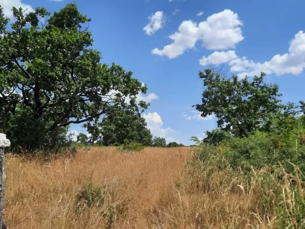 Une opportunité rare au coeur du Larzac : 9 128 m2 pour concr
