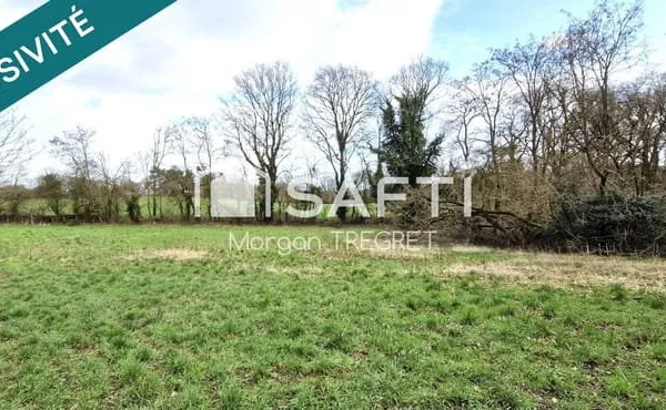 Terrain non constructible Nozay 2500 m²