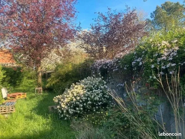 Colocation Ronchin