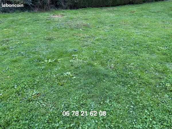 Terrain constructible-1000m2-03000 AVERMES