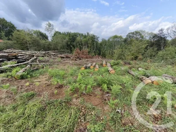 Terrain 2360 m²