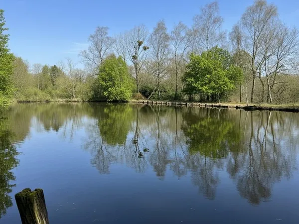 Etang Ernee
