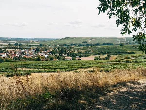 Terrain à batire - Coeur de ville - MONTEREAU 77130