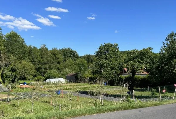 Terrain en individuel 7382 m²