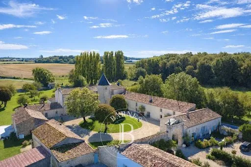 Château 30 pièces 962 m²
