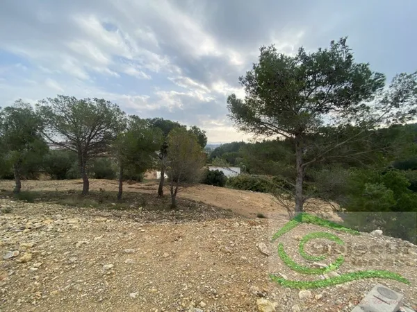 Terrain en lotissement