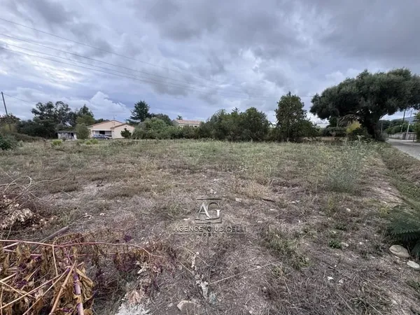 TERRAIN 1015M2 - MIGLIACCIARU