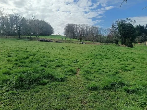 Terrain 4394 m²