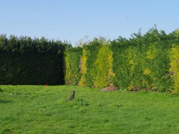 Terrain en individuel 353 m²