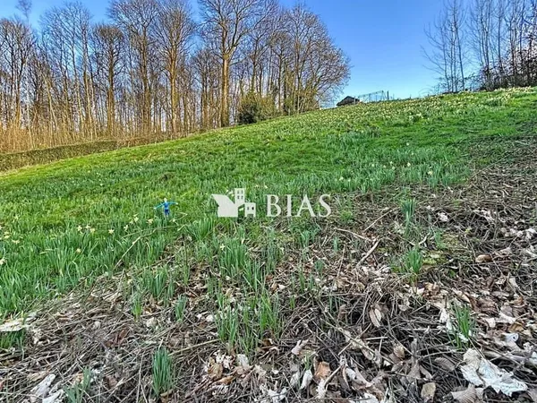 Terrain 1000 m²