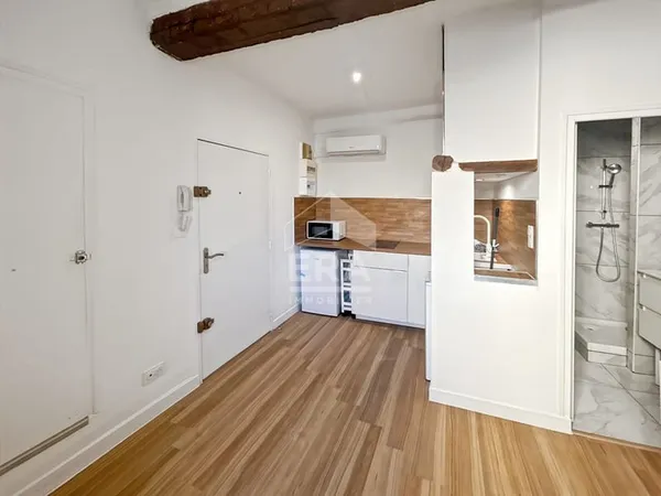 Appartement 1 pièce 20 m²